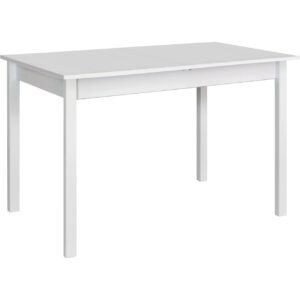 Stůl DS1 60x110 bílý laminát